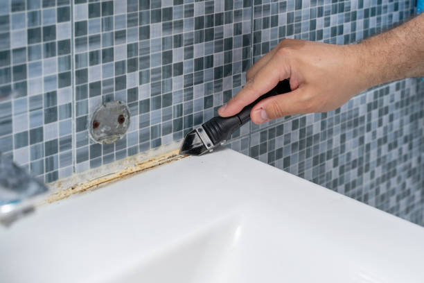 Best Toxic Mold Removal  in Vista, CA
