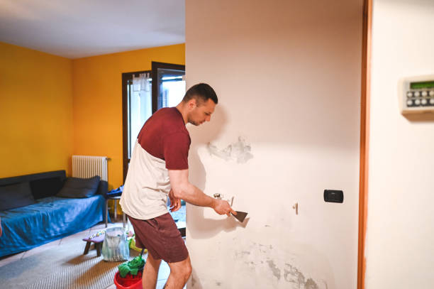 Best Crawl Space Mold Removal  in Vista, CA